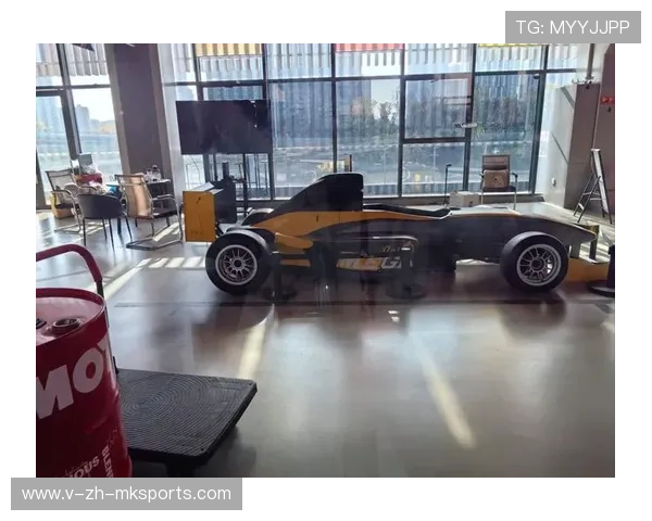 _闪电音速冲刺：极速赛车未来新模样_，极速 闪电侠