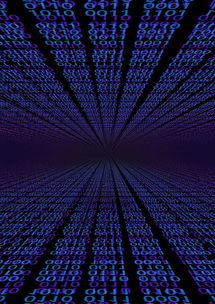 mk体育入口-体育新闻中心亮相世界体育科技大会，2020国际体育十大新闻