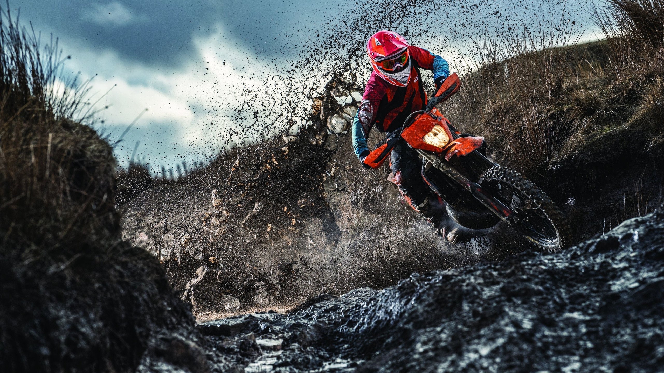 美澳选手高频换气与高强度并存